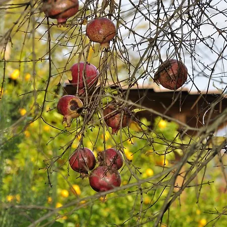 La Rocca Della Magione Alloggio per agriturismo
